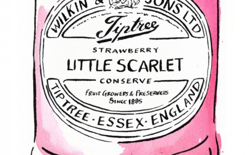 Finest Preserves