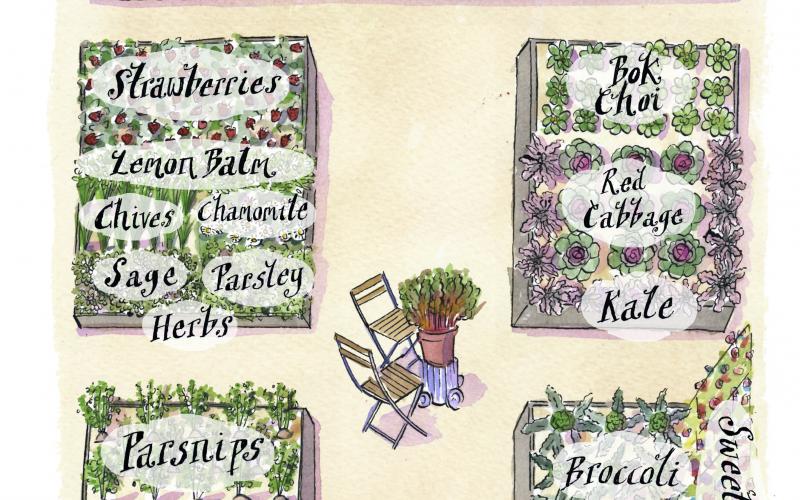 Plan for Nashville Spring Garden